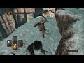 Dark Souls II SOTFS Visions of Ambush