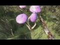 Dying Light Easter Egg: Plants Vs Zombies