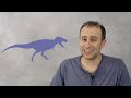 Expert Answers Google's Most Popular Questions About Dinosaurs