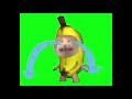 Banana cat crying