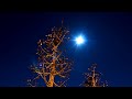 Harvest Moon Time Lapse