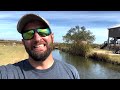 Loading Up on CRABS in a ROADSIDE DITCH (CATCH AND COOK)