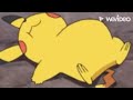 Pikachu Belly Gurgles~ Noisy~