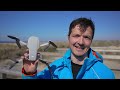 De ultieme drone voor beginners | DJI Mini 2 SE Fly more combo - Review