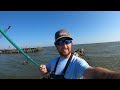 TOSSED a LIVE! MULLET under an ABANDONED PIER and CAUGHT THESE....