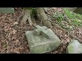 Vandalized Graves | Graves in the Woods |  The Best view from a Cemetery ever!