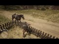 Red Dead Redemption 2_20221104175007