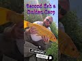 Fishing #fish #fishing #carpfishing #animals #yt #ytviral #magic #fun #wow #lol #enjoy #sos