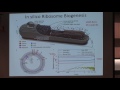 Towards a Computational Model of a Methane Producing Archaeum - Zan Luthey-Schulten