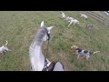 Fox Chasing Clinic  |  HELMET CAM  |  Marlborough Hunt Club