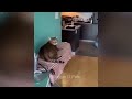 New Funny Cats and Dogs Videos 😅😹 New Funny Catss 2024 🤣😹