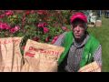 Dr. Earth Organic Fertilizer at the San Jose Rose Garden