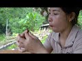 How to moisten tree stumps with straw, living with nature, triệu lily