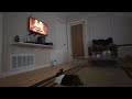 Bunny Rabbit Knows How To Relax With Fireplace Meditation #pets #animals #relaxing