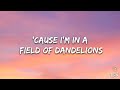 Ruth B. - Dandelions (Lyrics)