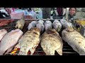 VERY Popular Cambodian Street Food for Dinner – Grilled Duck, Fish, Pork Intestine & More