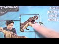 Jurassic World Ania Crane Game Giveaway SIMO BASE Popular Dinosaur Movie Continuous Play!