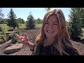 Planting Around the Beautiful Pond! 🌲🌾🌿 // Garden Answer