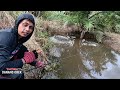 MANCING IKAN DI KUBANGAN KECIL TERNYATA PENGHUNINYA ADA YANG SEBESAR INI