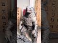 Legendary Godzilla Vs Showa Godzilla stop motion ￼