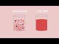 Complete blood count test | CBC | HB, MCV, MCH, MCHC, explanation - part 2