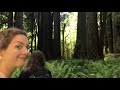 Redwoods Adventure!