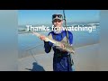 Catching a variety of fish species in Cape town South Africa