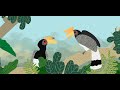 Animated Story Book of Malaysian Animals -The Little Hornbill And Its Big Beak -Sekolah Rimba Studio