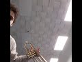 Trumpet Moment