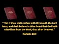 Romans 10:9 Bible Video