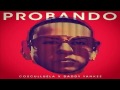 Cosculluela Ft. Daddy Yankee - Probando (Version Corta)