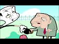 Her Royal Highness Bean! | Mr Bean Animated | Full Episodes Compilation | Mr Bean World