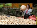 A simple life. Separate corn kernels, bathing and cooking ends Binh's working day
