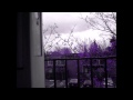 Overcast | Time Lapse