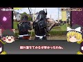 【ゆっくり解説】なぜ織田家は滅んでしまったのか!?『清須会議』の真実【本能寺の変】