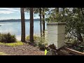 Bee Hive Time Lapse