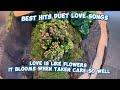 THE BEST OF DUET LOVE SONGS #viral #music #lovesong