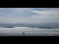 The Pacific Ocean. China Beach, Port Renfrew.