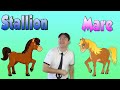 Horses for Children - Learn Farm Animals for Kids. The Horse Song from Blippi