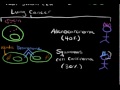 Lung cancer types | Respiratory system diseases | NCLEX-RN | Khan Academy