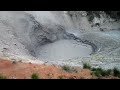 Yellowstone clip of Bison blocking the path and a mud pot  #shorts