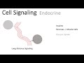 Cell Signaling Types (Paracrine, Endocrine, Juxtacrine, ...)