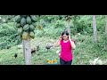 Fresh,organic&sweet ripe papaya frm Farm.Yung wla ng makain papaya nlng #asmr #trending#asmrsounds