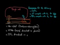 Hemoglobin moves O2 and CO2 | Human anatomy and physiology | Health & Medicine | Khan Academy