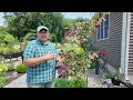 Full July Garden Tour 2024 Part Two ⭐️ You'll Love The Garden At It's Peak