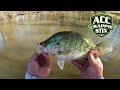 2 HOURS OF SPAWN CRAPPIE FISHING IN 1 FOOT OF WATER‼️ BIG SPAWNING CRAPPIE🎣