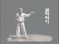 Taekwondo basic kicks