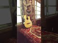 American flamingo guitar 🎸 Behnam. 3