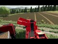 New Machines in Action: Sunflower Planting & Potato Harvesting | Pallegney Farm | FS 22 | ep #10