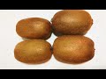 KIWI FRUIT ||  GREEN KIWI ||  কিউই ফল||  キウイフルーツ ||